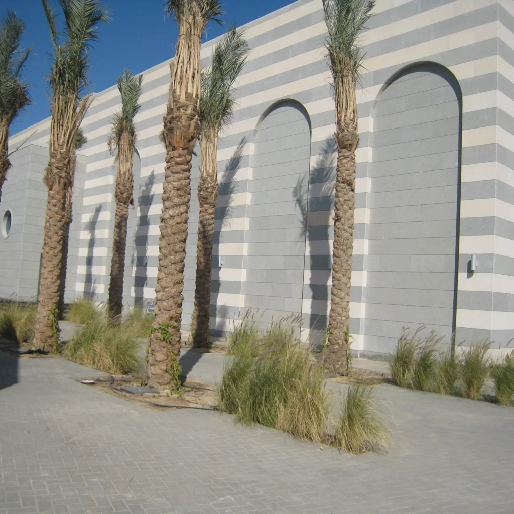 Al Saddah Mosque